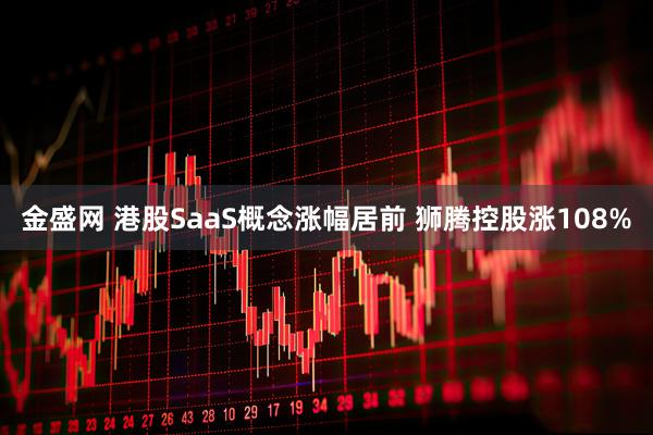金盛网 港股SaaS概念涨幅居前 狮腾控股涨108%